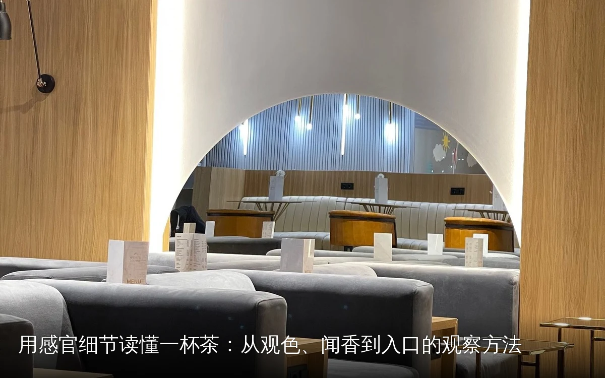 用感官细节读懂一杯茶：从观色、闻香到入口的观察方法